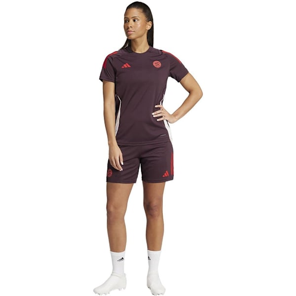 Adidas Träning Kortärmad T-shirt Fc Bayern Munich 24/25  L