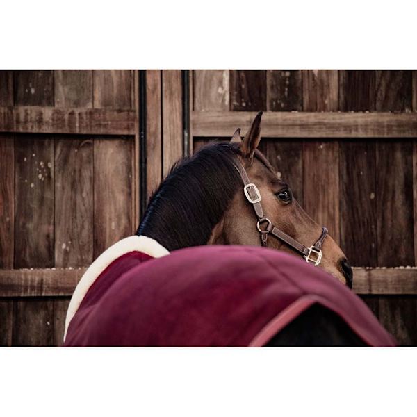 Kentucky Vis Tæppe Heavy Fleece  155 cm