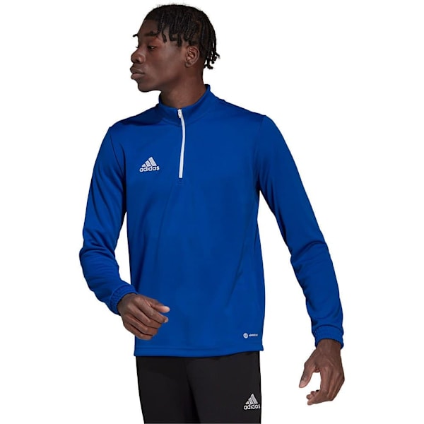 Adidas Sweatshirt Entrada 22 Training Blå 3XL / Regular Mand