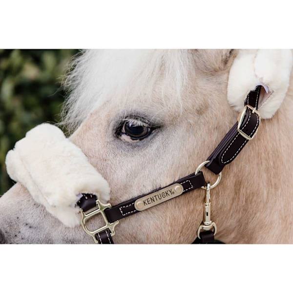 Kentucky Lampaannahkainen Nahkariimu  Shetland Pony