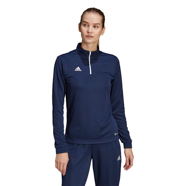 Adidas Sweatshirt Entrada 22 Training Blå XL / Regular Kvinde