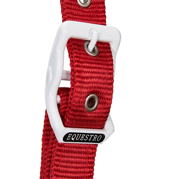 Equestro Riimu Ja Lyijy Ca00512  Cob