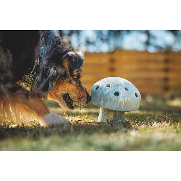 Ruffwear Porchini™ Bitring Flerfärgad