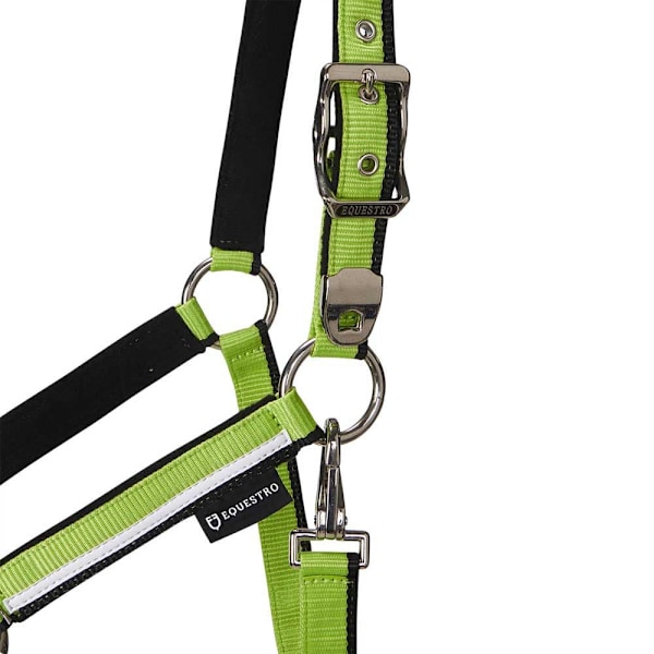 Equestro White Trim Riimu Ja Talutin  Coby