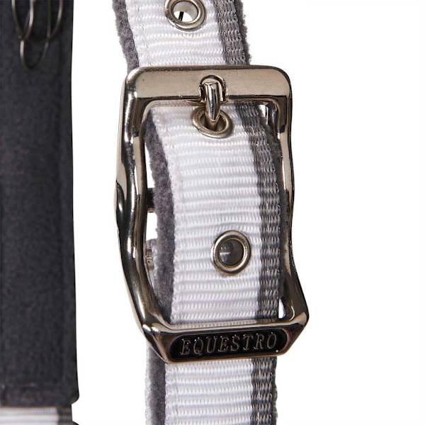 Equestro Red Trim Riimu Ja Talutin  Coby