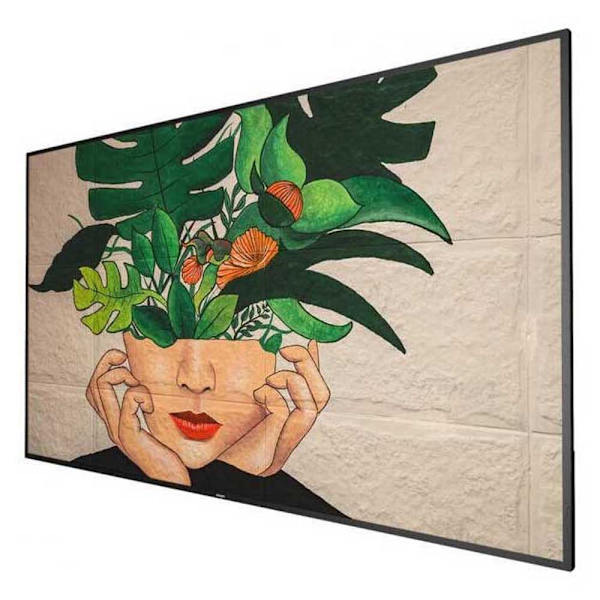 Philips Tv 65bdl4511d/00 65´´ 4k Led Flerfärgad Europe PAL Svart
