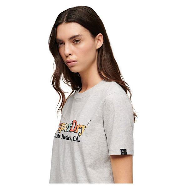Superdry Rainbow Logo Relaxed T-shirt Med Korte ærmer Grå XS Kvinde