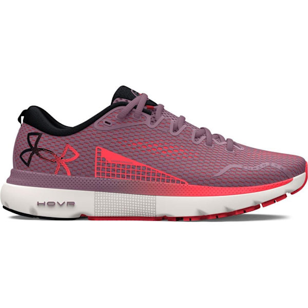 Under Armour Løbe Skoe Hovr Infinite 5 Lilla EU 37 1/2 Kvinde