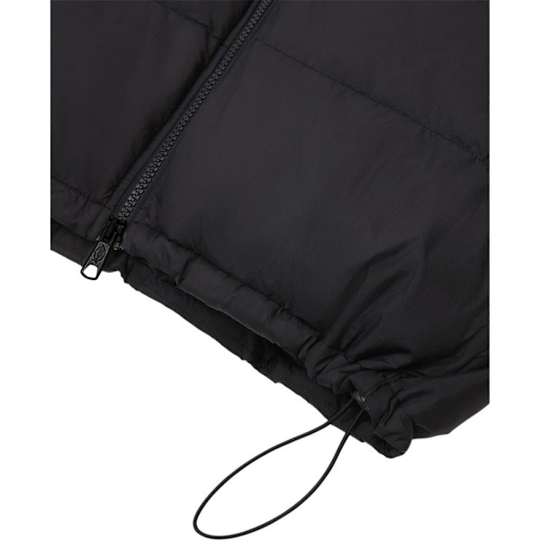 Dickies Jacka Waldenburg Svart S Man