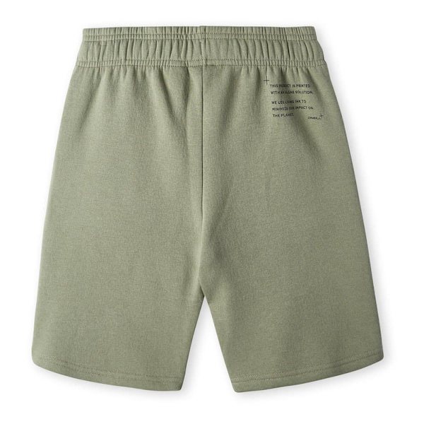 O´neill Future Surf Shorts Grönt 13-14 Years Pojke