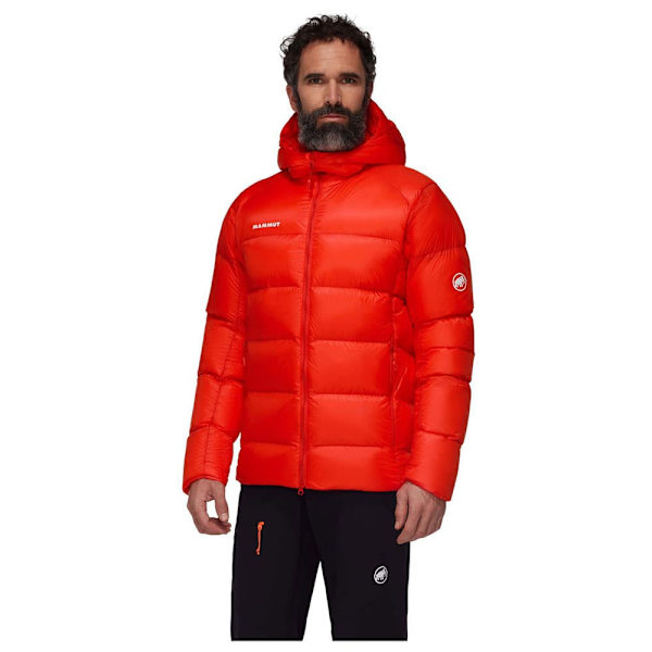 Mammut Taiss Pro In Takki Punainen XL Mies