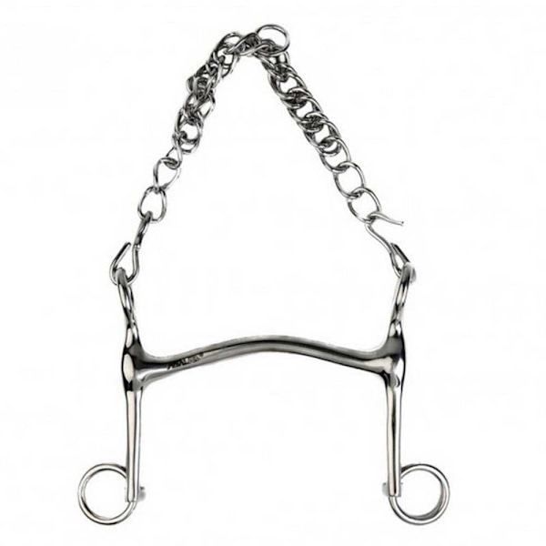 Metalab Böjd Weymouth Hollow Bit 13 Mm Silver 135 cm
