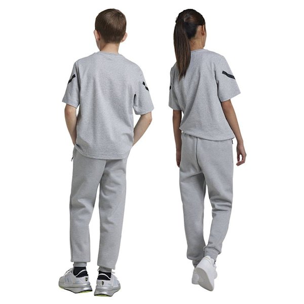 Adidas Z.n.e. Tapered Leg Träningsbyxor Grå 11-12 Years Pojke