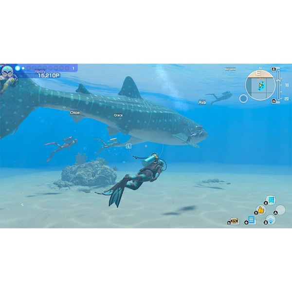 Nintendo Switch Endless Ocean Luminous