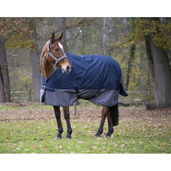 Equitheme Standard Valdeltagande Matta Tyrex 600 D Polyfil 0g Blå 130-95 cm