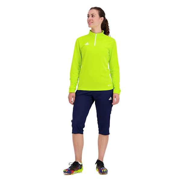 Adidas Entrada 22 Training Sweatshirt Grøn S / Regular Kvinde