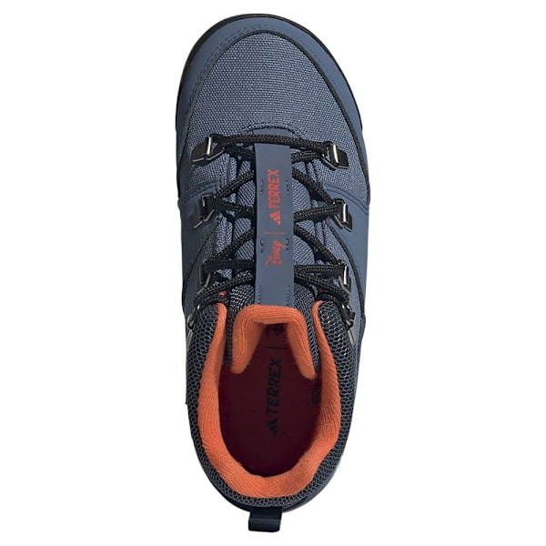 Adidas Terrex Snowpitch Disney Vandresko Blå EU 38 2/3