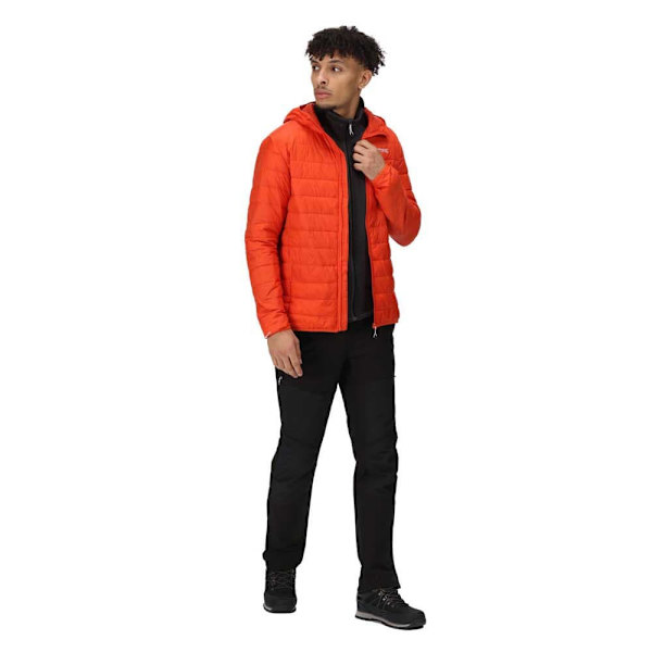 Regatta Hillpack Jakke Orange S Mand