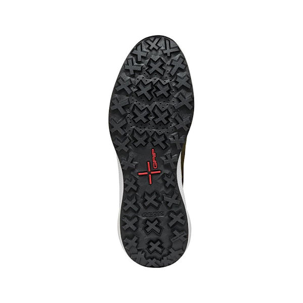 Geox Pg1x Abx Skor Grönt EU 42 Man