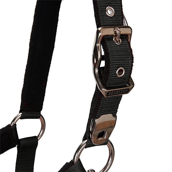 Equestro Shiny Fittings Riimu Ja Talutin Musta Cob