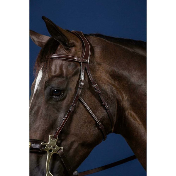 Dyon Us Collection Hackamore Kindstykker Søvfarvet Full