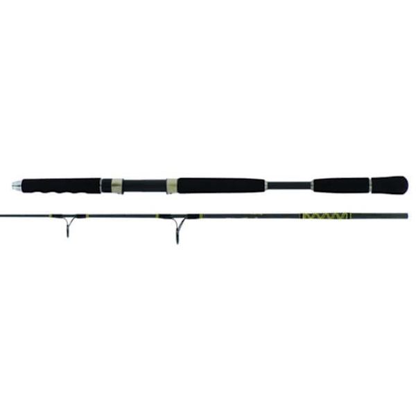 Seika Jigging Stång Ardens Svart 1.65 m / 60-200 g