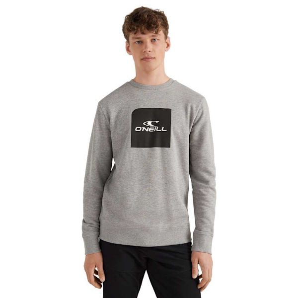 O´neill Sweatshirt Cube Grå L Mand
