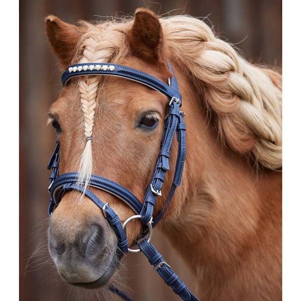 Waldhausen Tygla Unicorn Silver Shetland