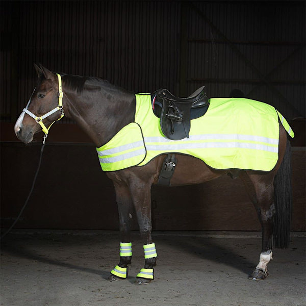 Harry´s Horse Reflective Træningsmåtte  L