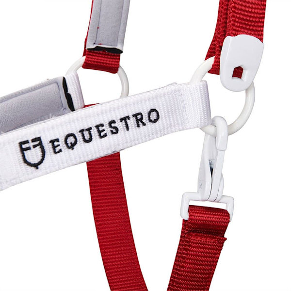 Equestro Riimu Ja Lyijy Ca00512  Cob