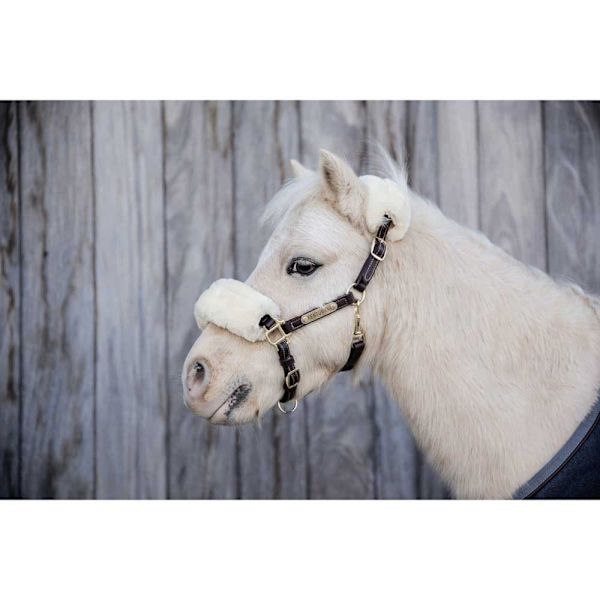 Kentucky Lampaannahkainen Nahkariimu  Shetland Pony