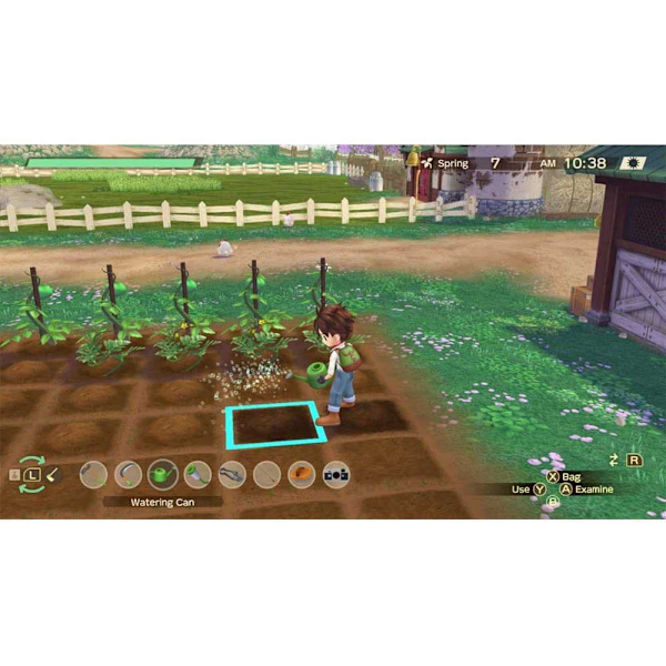 Marvelous Switch Story Of Seasons A Wonderful Life Ed Standard