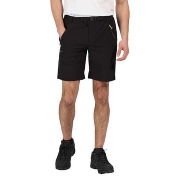Regatta Shorts Xert Stretch Iii Sort 50 Mand