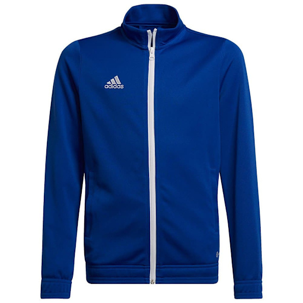 Adidas Jacka Entrada 22 Blå 11-12 Years