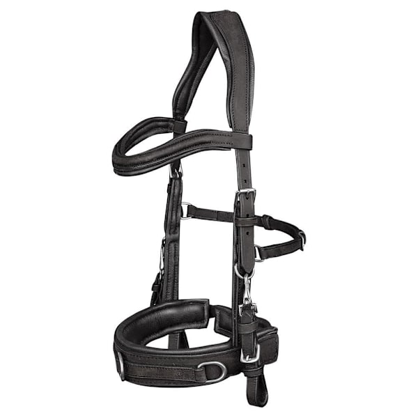 Waldhausen Nahkainen Suitset Cavesson Hopeinen Pony