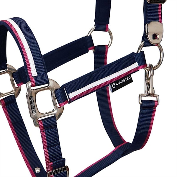 Equestro White Trim Riimu Ja Talutin  Pony