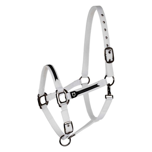 Equestro Elegance Riimu Ja Talutin  Coby