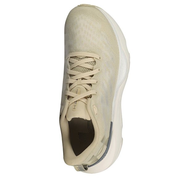 Under Armour Løbe Skoe Infinite Pro Cool Down  EU 40 Mand