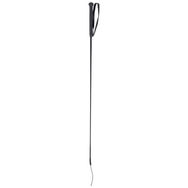Harry´s Horse Dressyrpiska 10 Enheter Silver 110 cm