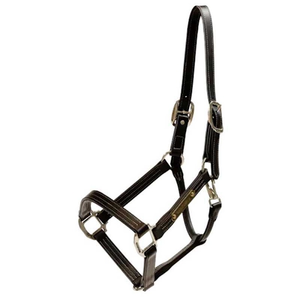 Kentucky Wellington Halter  Cob