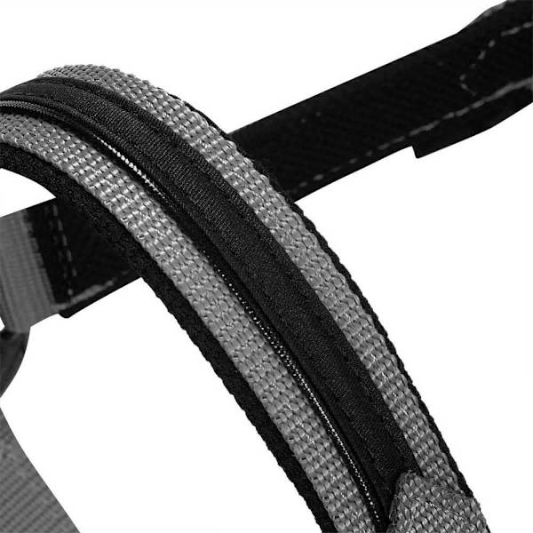Equestro Elegance Riimu Ja Talutin  Coby