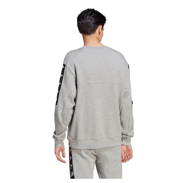 Adidas Tröja Bl Grå L / Regular Man