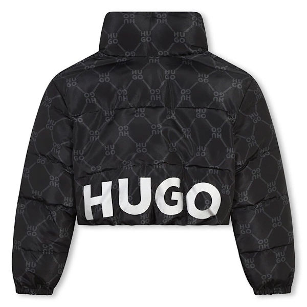 Hugo G00242 Jacka  8 Years