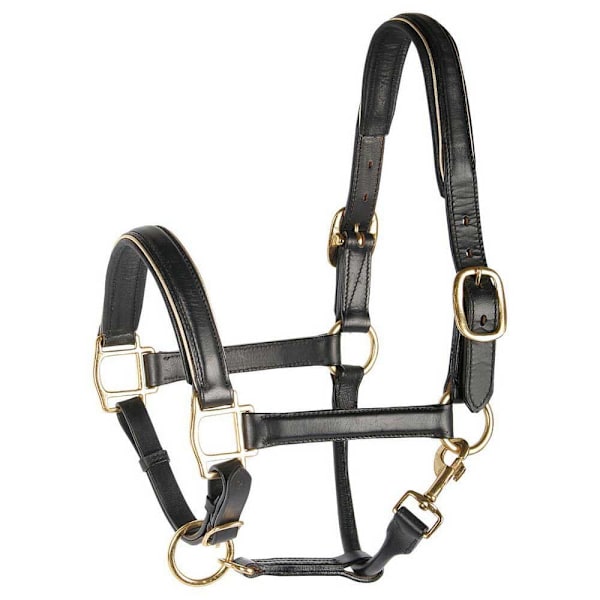 Harry´s Horse Nahkainen Riimu Reunuksella  Cob