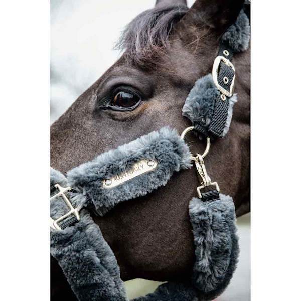 Kentucky Lampaannahkainen Shipping Riimu Harmaa Pony