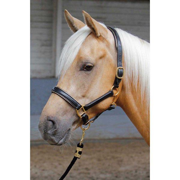 Harry´s Horse Nahkainen Riimu Reunuksella  Full