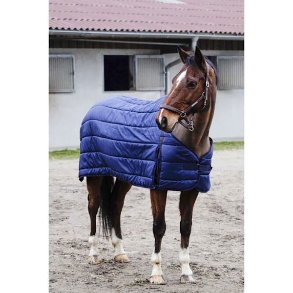Equitheme Underformular Classic 100g  6´6´´