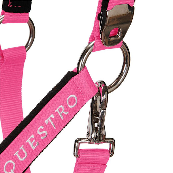 Equestro Grimma&bly Shiny Fittings  Cob