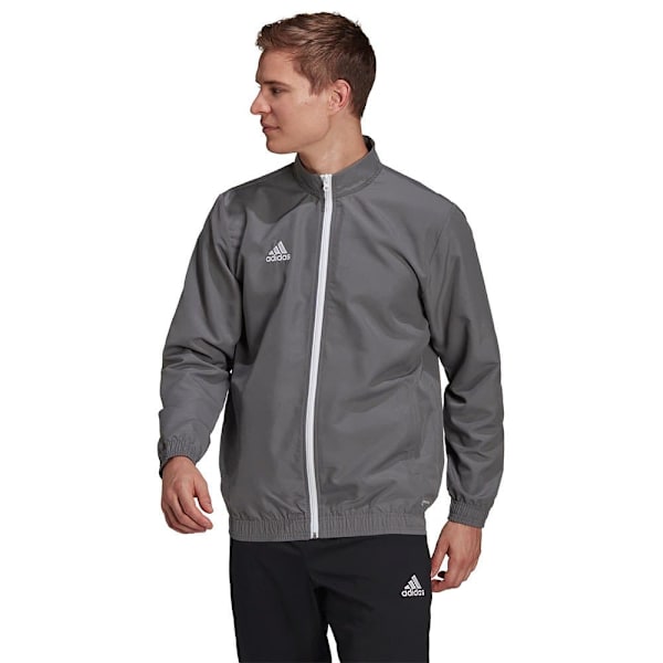 Adidas Jacka Entrada 22 Grå S / Regular Man