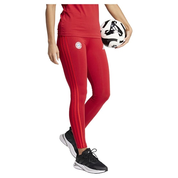 Adidas Trikåer Fc Bayern Munich 24/25  XS